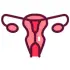 Gynecological