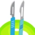 Surgical Blades